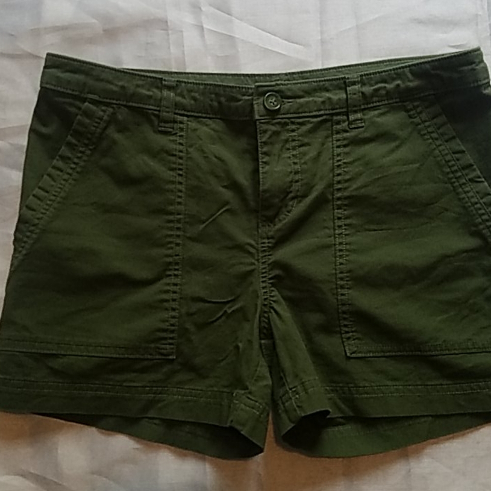 Army Green Patagonia Shorts